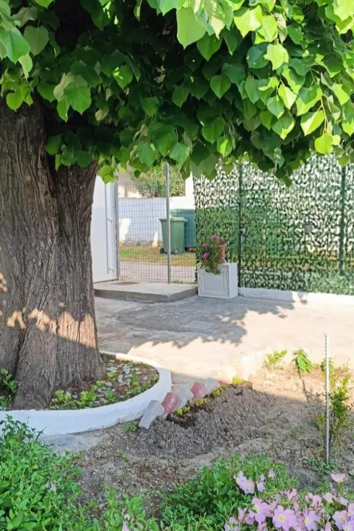 Seaside Oasis Apartment Pefkochori