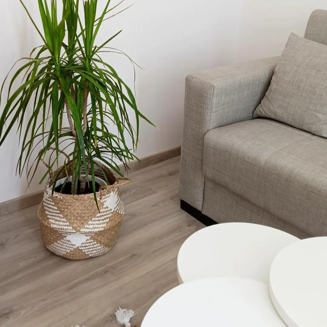 Seaside Oasis Apartment Pefkochori 0*,